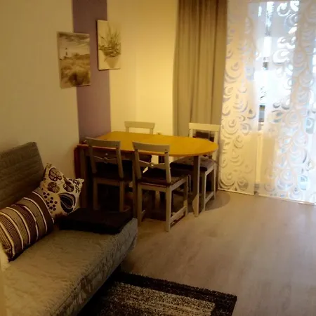 Steinhauser's Apartment