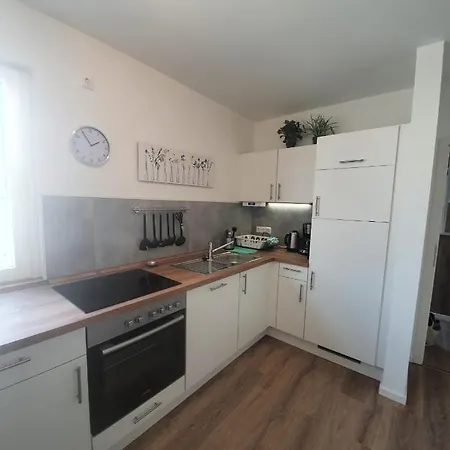 Steinhauser's דירה *