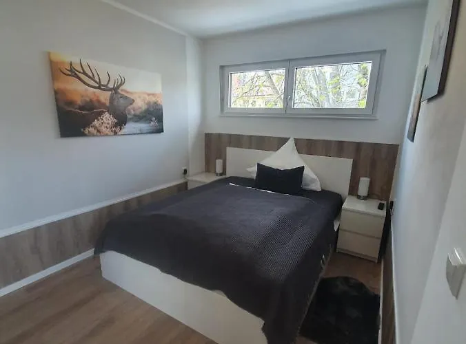 Steinhauser's Apartamento