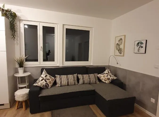 Steinhauser's Apartamento *