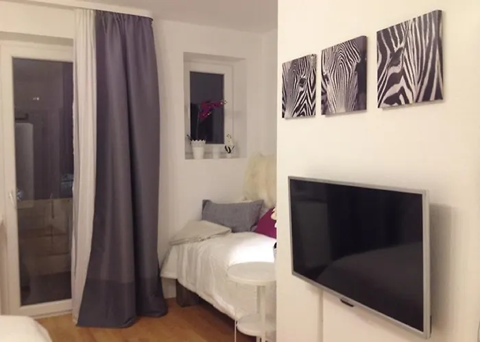 斯坦恩豪瑟之家公寓 公寓